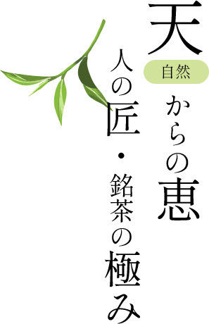 天（自然）からの恵 人の匠・銘茶の極み