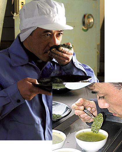 日本茶インストラクターとともに確かなお茶づくり