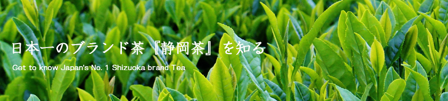 日本一のブランド茶『静岡茶』を知る