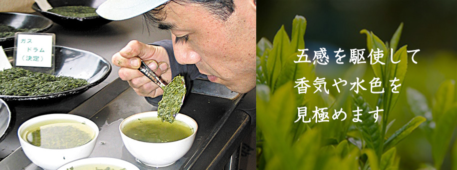 日本茶インストラクターとともに確かなお茶づくり