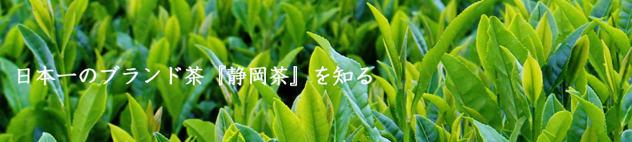 日本一のブランド茶『静岡茶』を知る